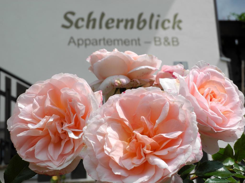 新波南特Haus Schlernblick公寓 外观 照片